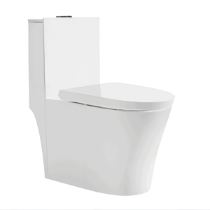 Toilet-2