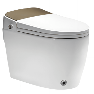 Toilet-1