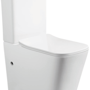 Rimless Two Piece Toilet