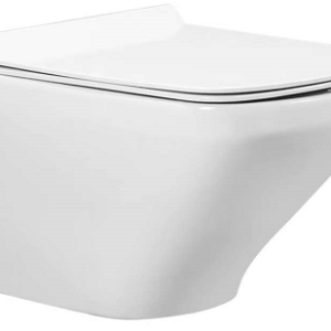 Rimless Wall Hung Toilet