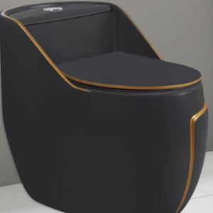 Rimless one Piece Toilet