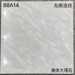 T800